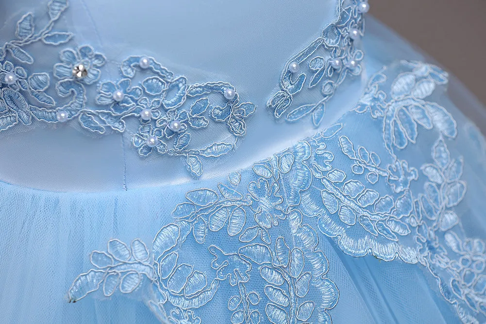 Girls Swallowtail Embroidered Light Blue Dress, Size 3-14yrs